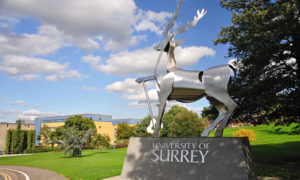 The University of Surrey: 'a lovely place to be.'