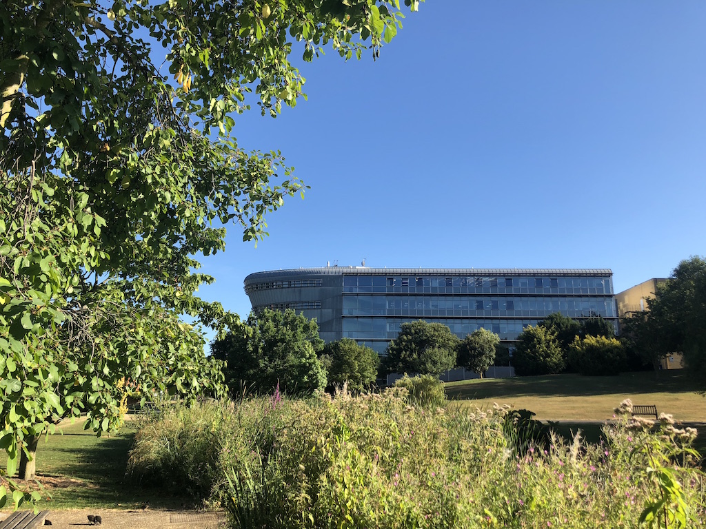 Summer University of Surrey