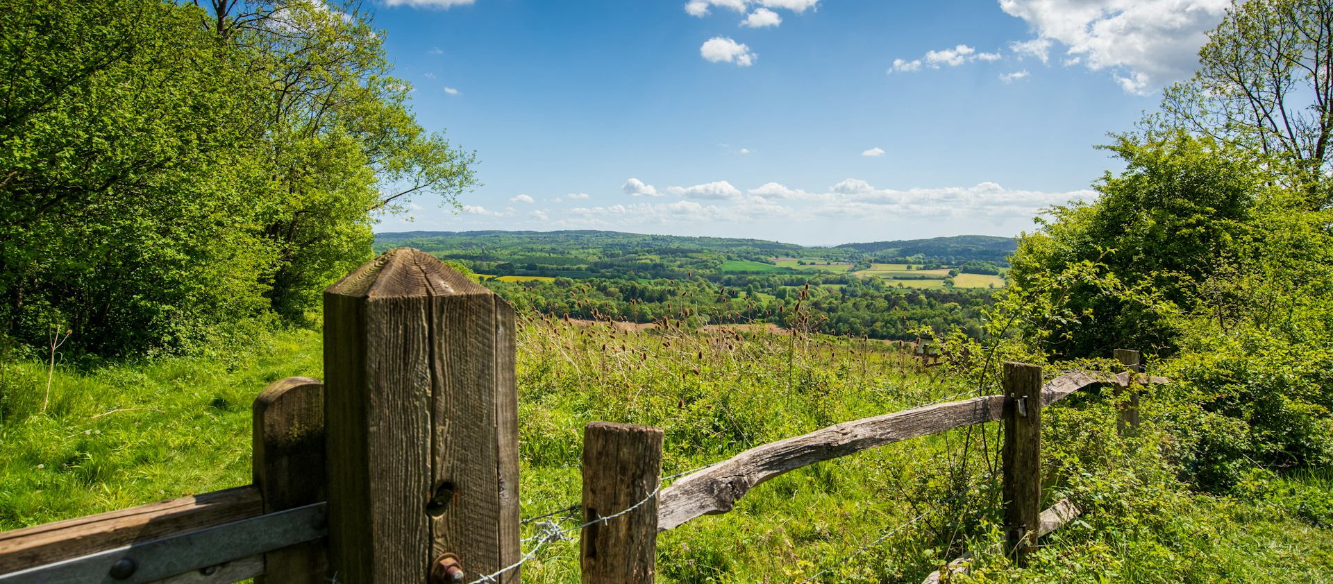 A green hillside flanked by trees underneath a blue sky.