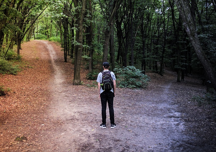 Choosing a path. Photo by Vladislav Babienko on Unsplash