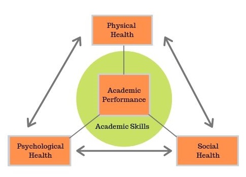 The health triangle