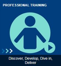 The icon of the Professional Training module