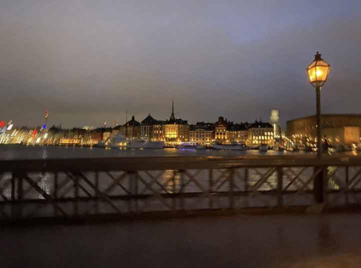 Skeppsholmsbron in November - It was so fascinating to see first-hand the drastic difference between winter and summer in Sweden. 