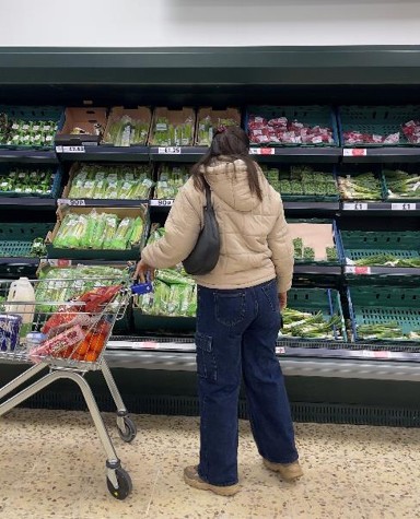 grocery shopping 