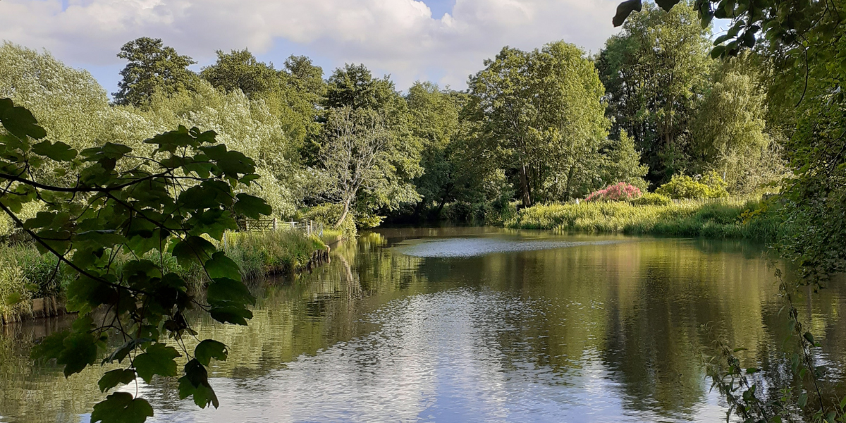 Guildford, Surrey