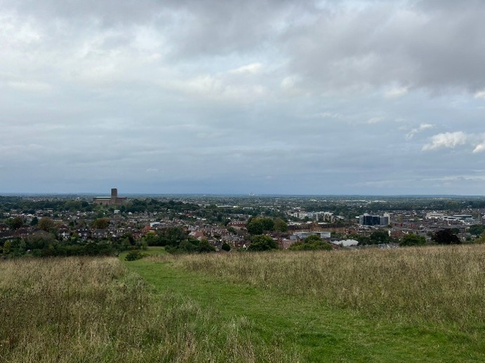 View from Guildford - the mount