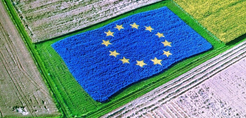 EU Flag in a Field