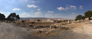 Judaean Desert