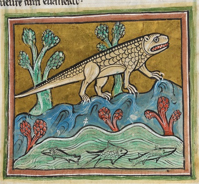 venetia-bridges-crocodile_-_british_library_royal_12_f_xiii_f24r_detail