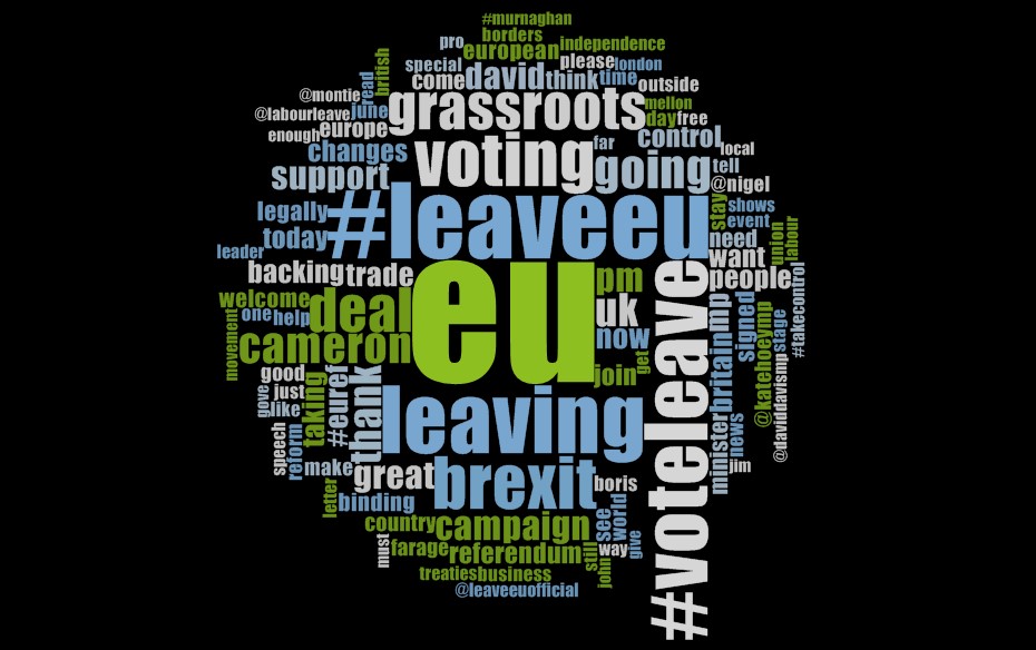 Leave campaigns (vote_leave, LeaveEUOfficial)