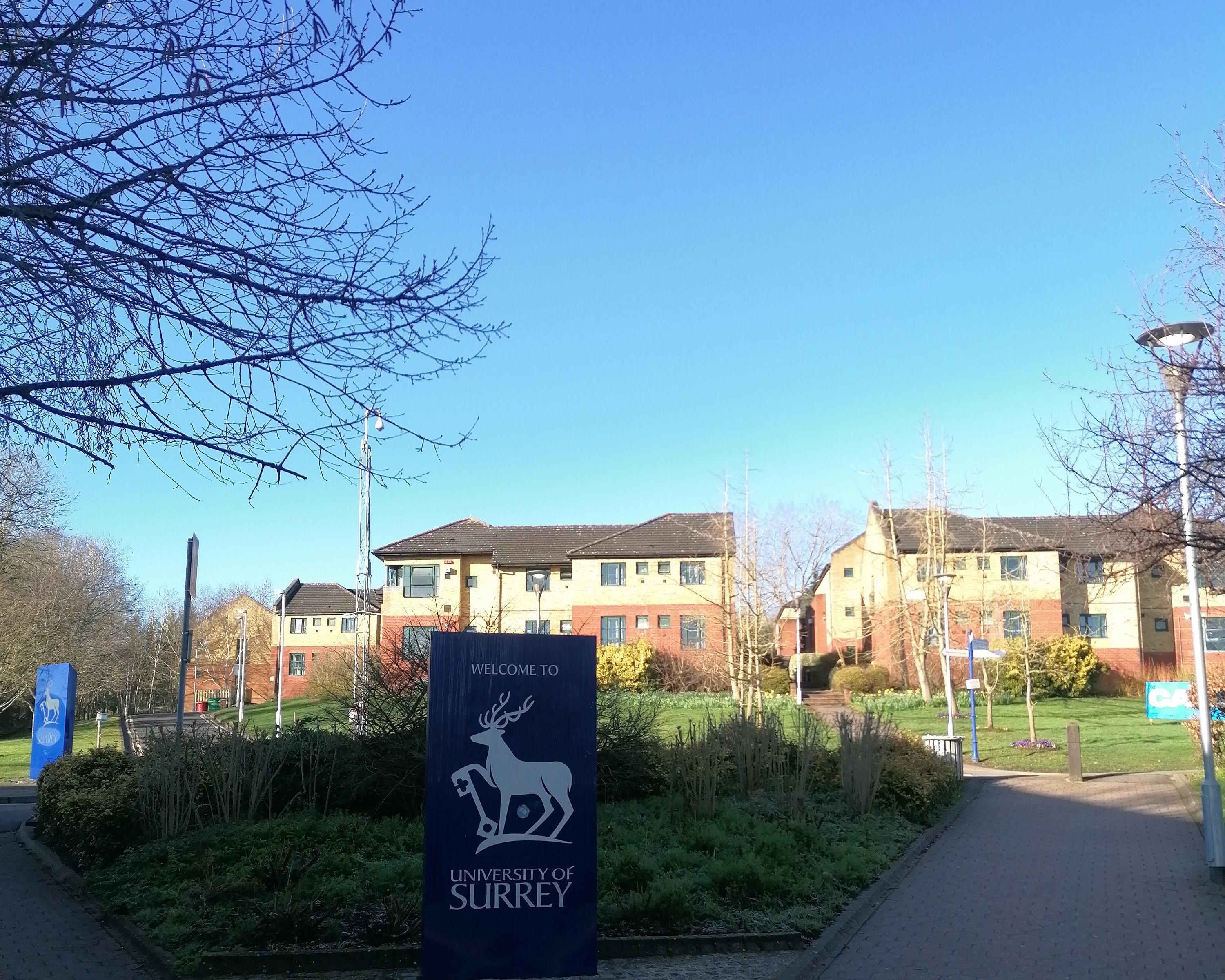 phd surrey university