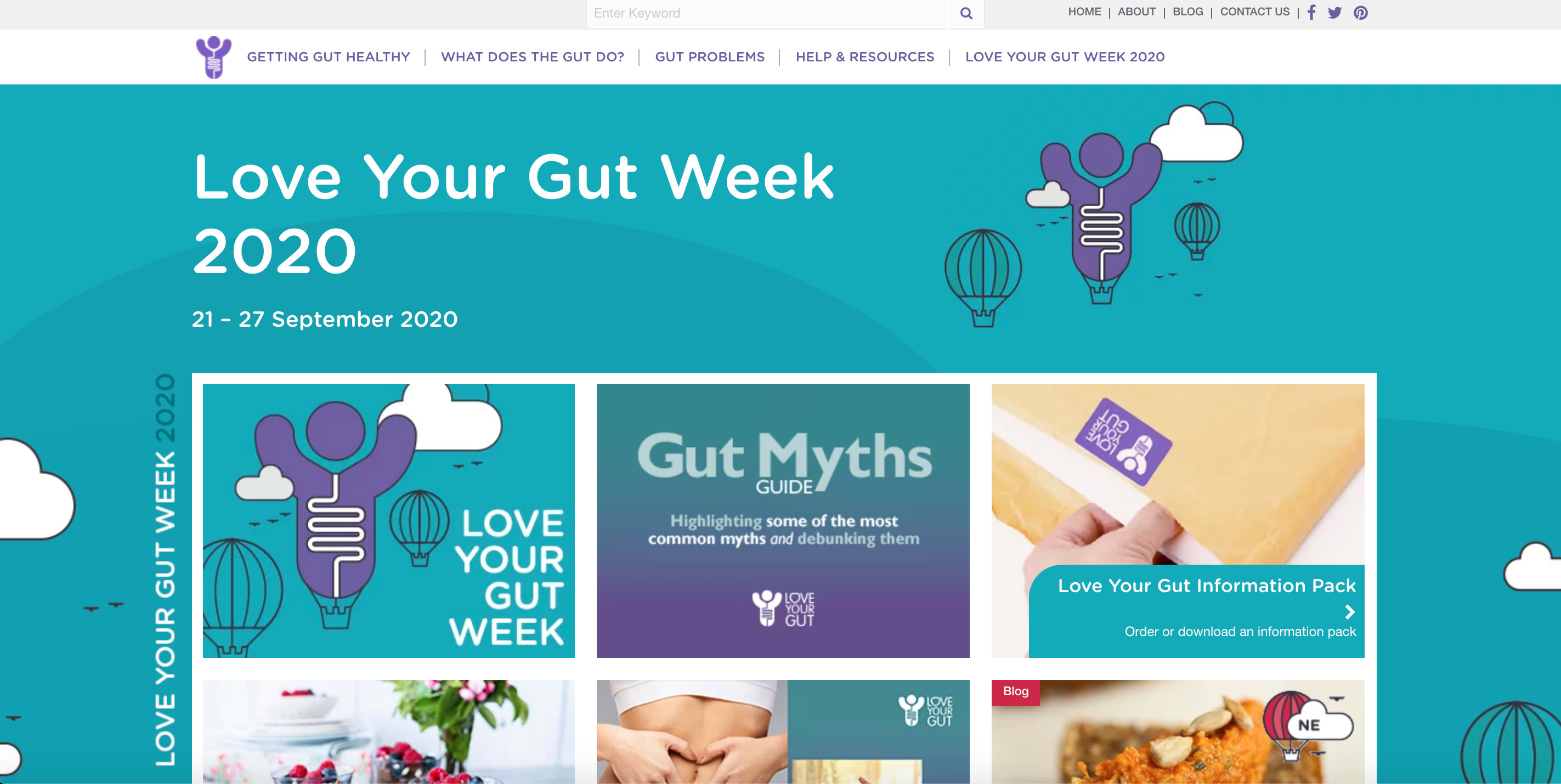 Image of the Love Your Gut Webpage