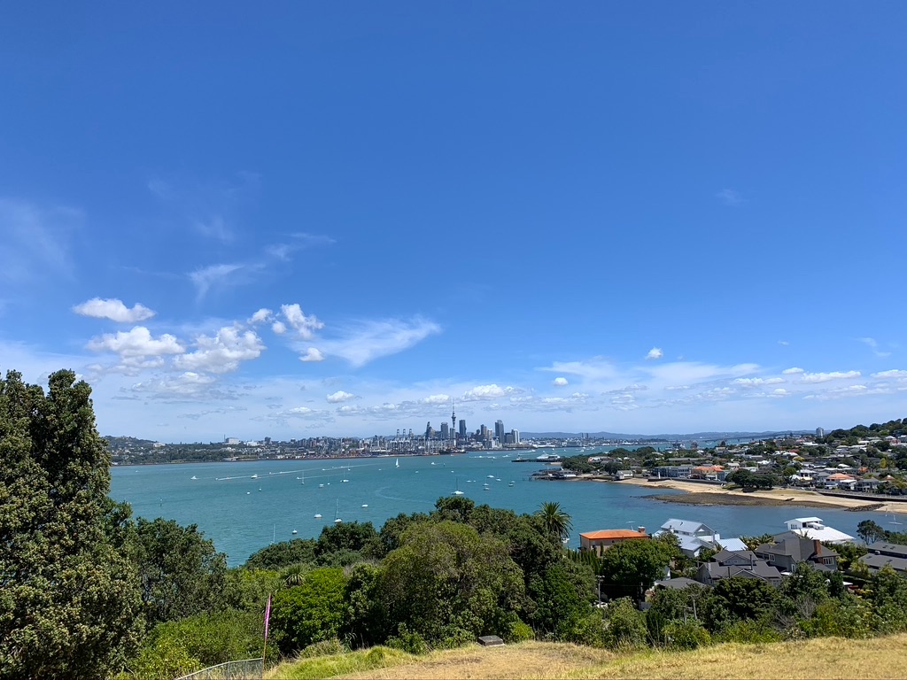 A city in the background and trees in the foreground, separated by a body of water.