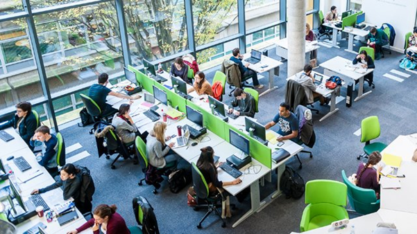 Student working in Surrey library 