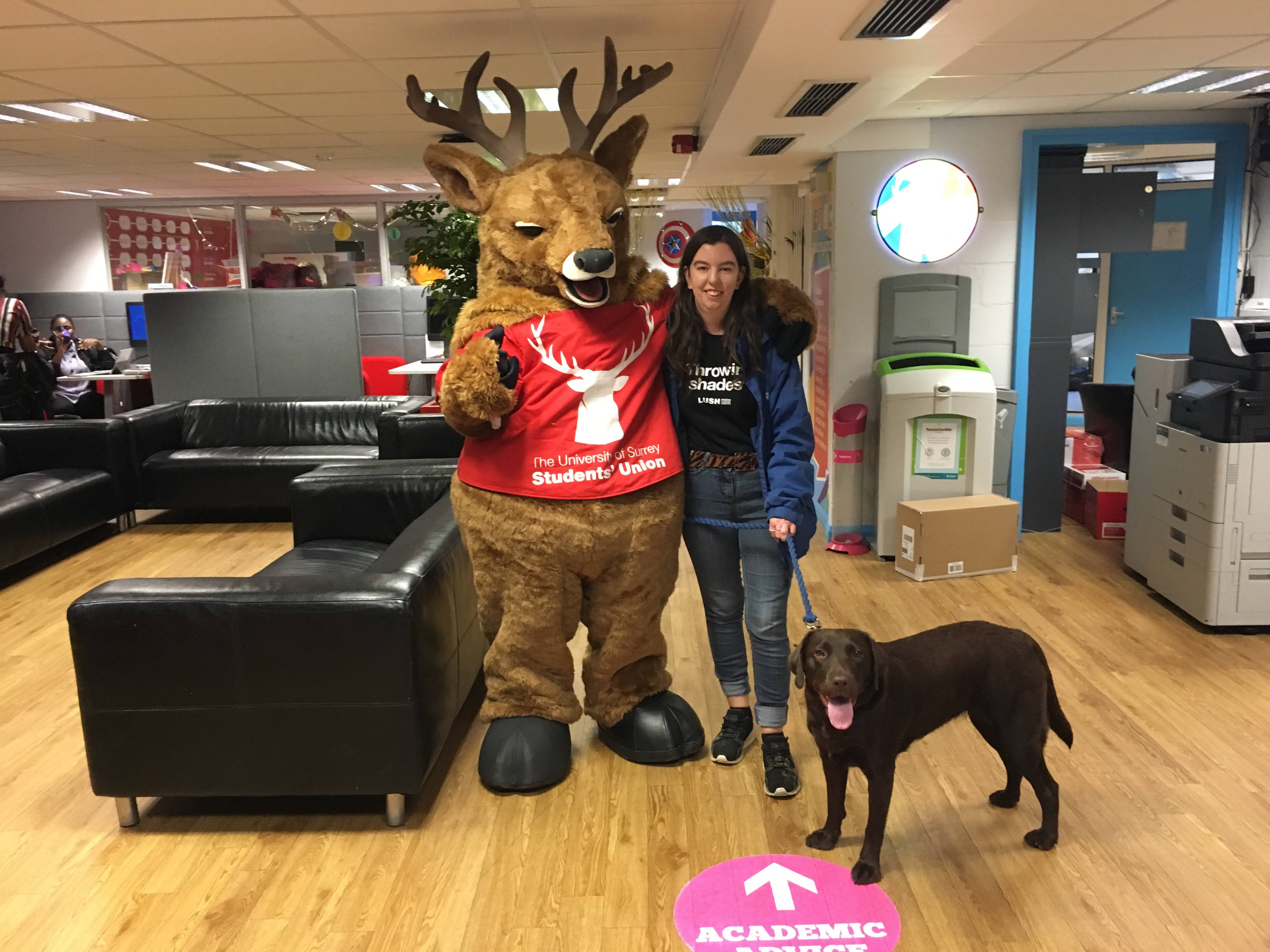 Student with brown labrador retriever with Steve the Stag mascot having a photo taken. 