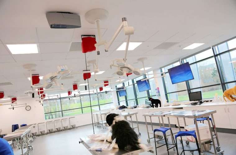 University of Surrey veterinary clinical skills lab equipped for teaching and practice of different procedures and techniques