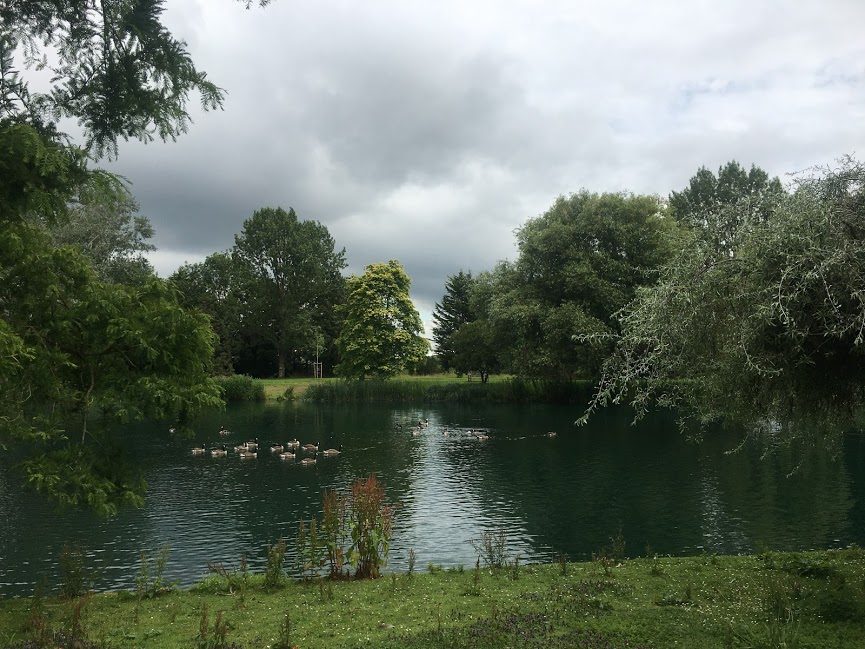 University of Surrey Stag Hill campus lake with trees and geese on water