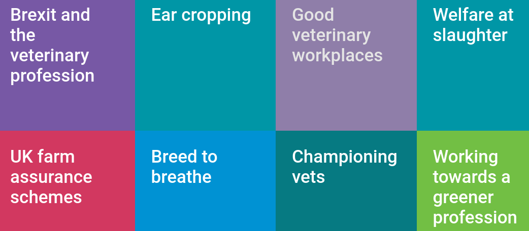 Screenshot of BVA current campaigns including against ear cropping and welfare at slaughter