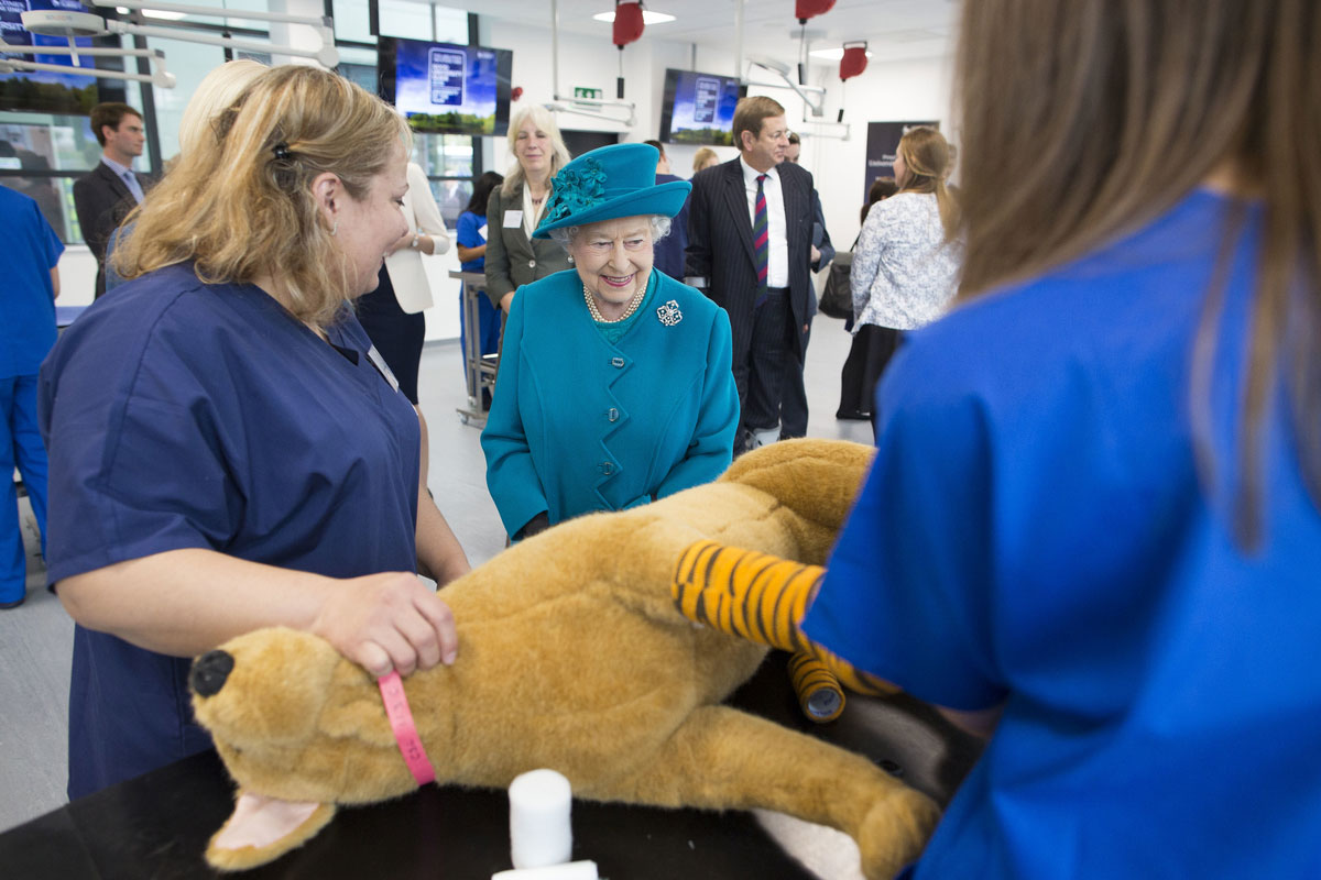 The Queen vists the vet school clinical skill labs and is shown model where banaging is practiced