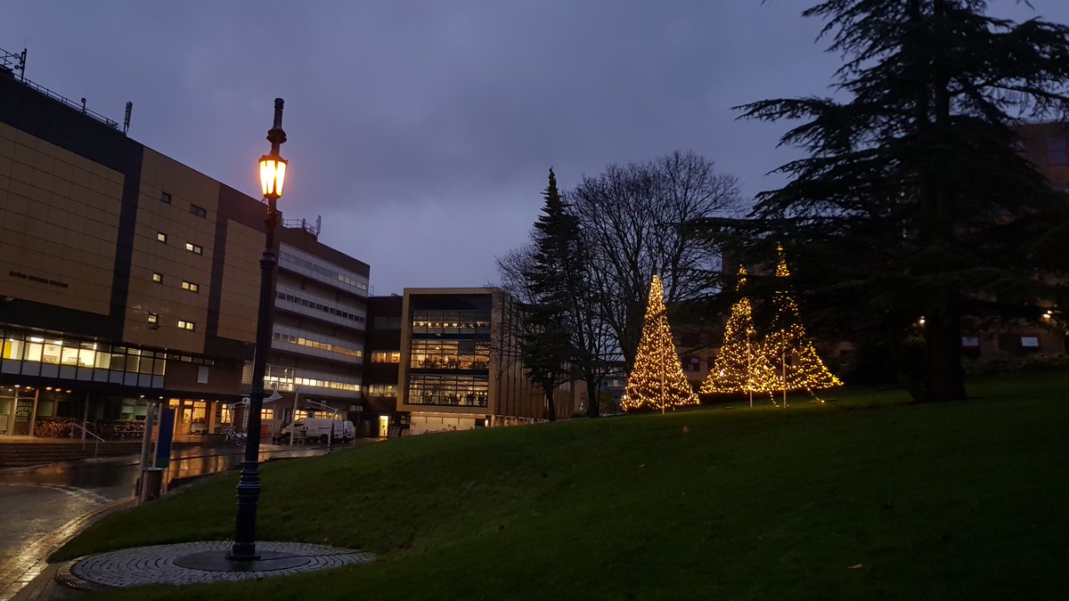 Decorations on Stag Hill Campus University of Surrey. 3 lite Christmas trees outside of the library.