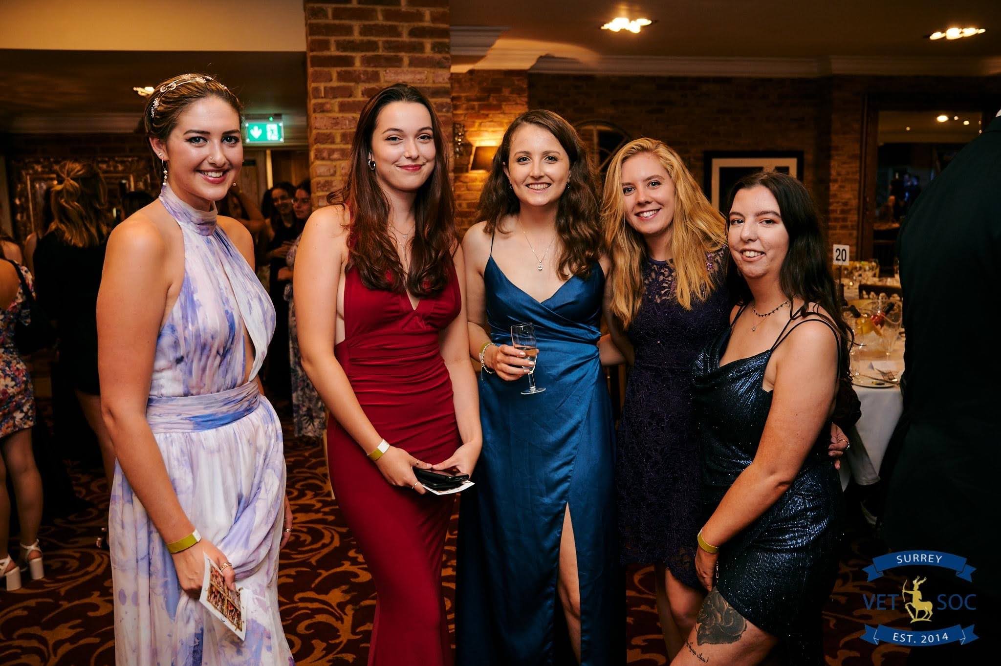 5 girls smiling at camera in fancy venue with University of Surrey Vetsoc logo at bottom of photo